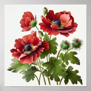 Poster d'impression de l'art des fleurs d'anémones