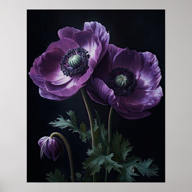 Poster d'impression de l'art des fleurs d'anémones (Devant)