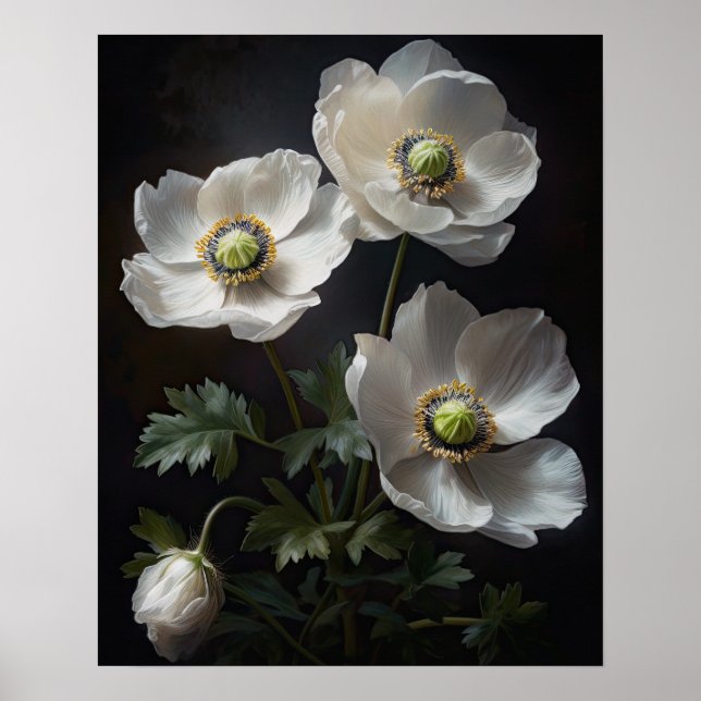Poster d'impression de l'art des fleurs d'anémones (Devant)