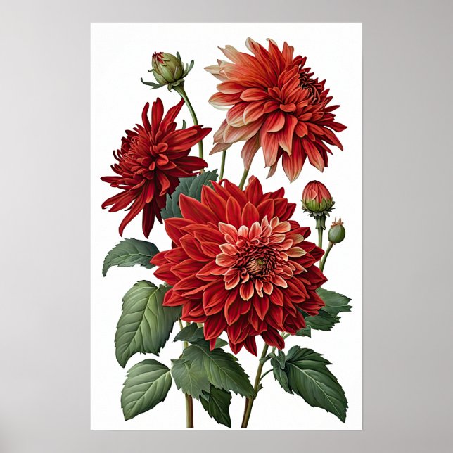 Poster d'impression de l'art des fleurs Red Dahlia (Devant)