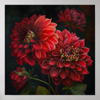 Poster d'impression de l'art des fleurs Red Dahlia