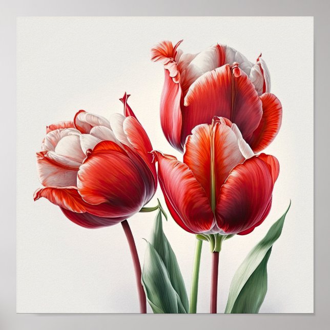 Poster d'impression de l'Art des Tulipes Rouges (Devant)