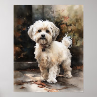 Poster d'impression de l'art du chien mignon Havan