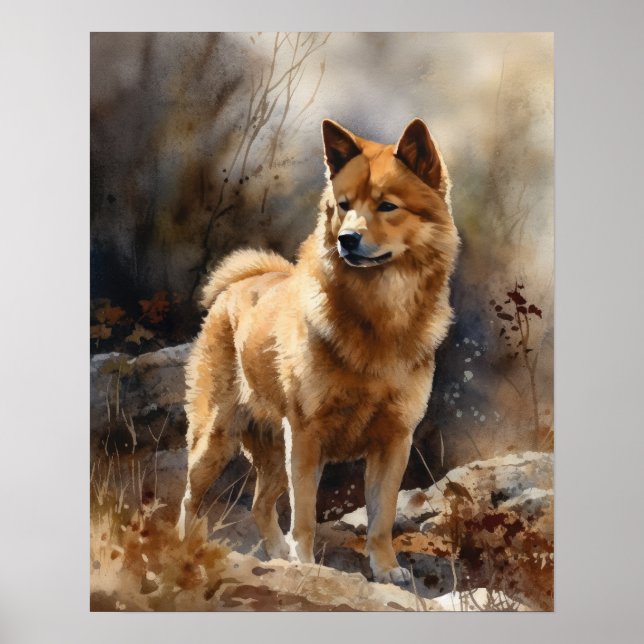 Poster d'impression de l'art du chien spitz finlan (Devant)