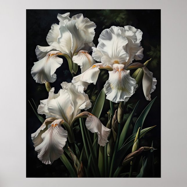 Poster d'impression de l'art en Iris blanc (Devant)