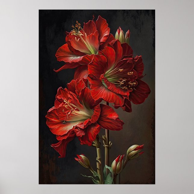 Poster d'impression de l'Art Fleur Rouge Amaryllis (Devant)