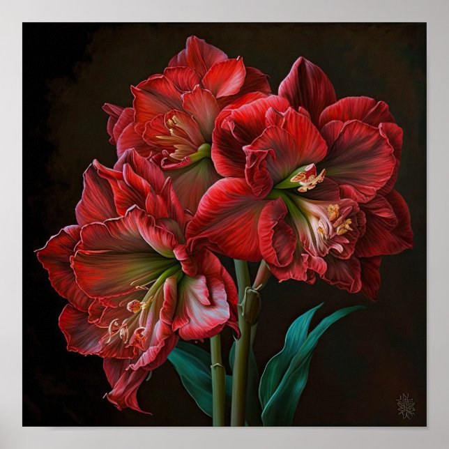 Poster d'impression de l'Art Fleur Rouge Amaryllis (Devant)