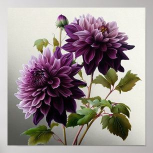 Poster d'impression de l'art floral Dahlias violet