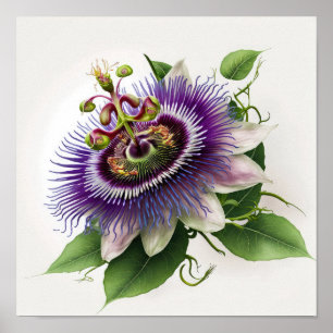Poster d'impression de l'art floral de la passion