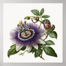 Poster d'impression de l'art floral de la passion