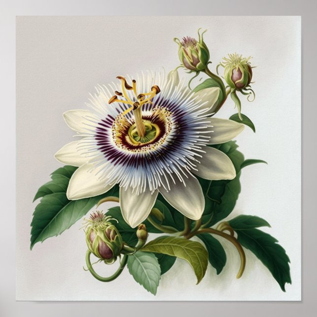 Poster d'impression de l'art floral de la passion  (Devant)
