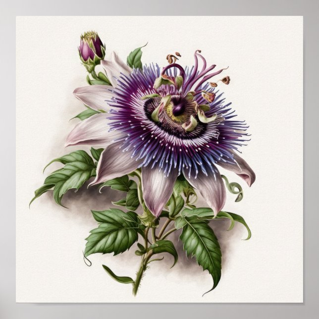 Poster d'impression de l'art floral de la passion  (Devant)