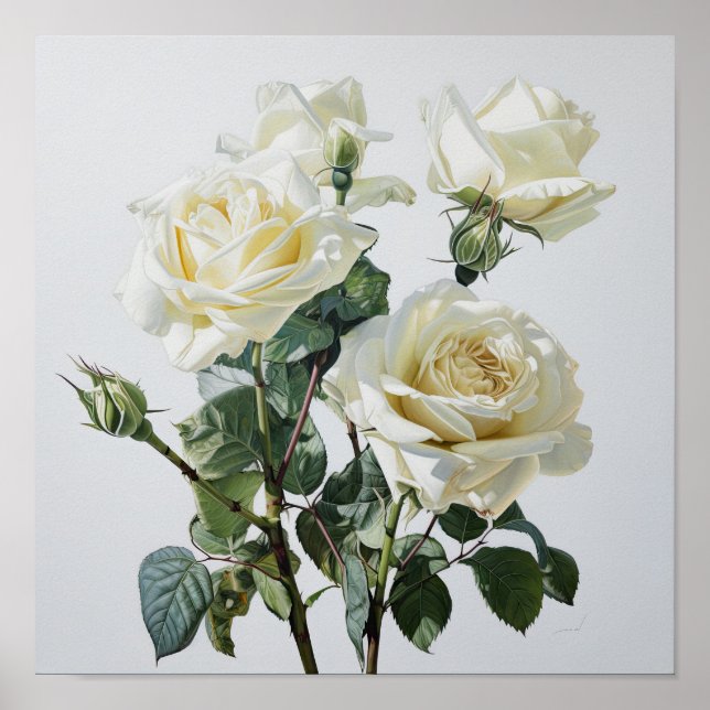 Poster d'impression de l'art floral des Roses blan (Devant)
