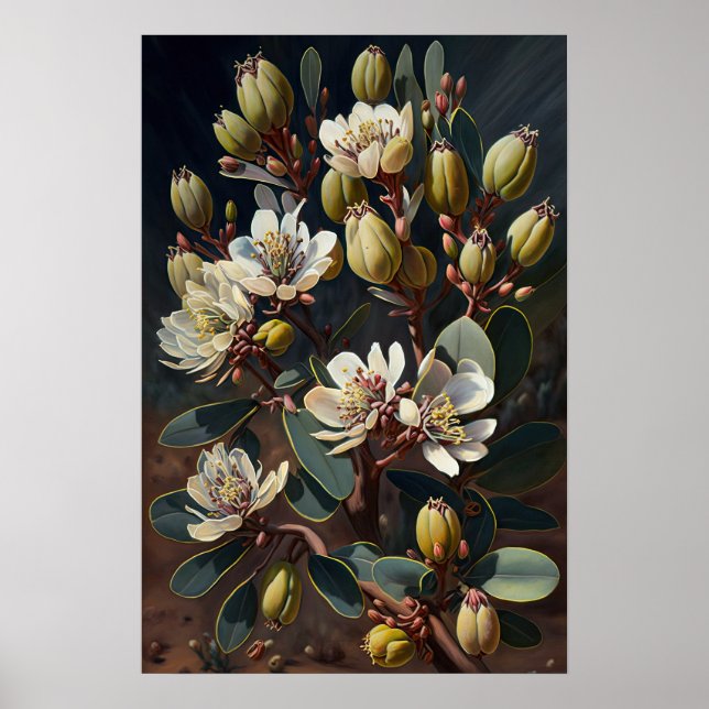 Poster d'impression de l'art floral du Jojoba blan (Devant)