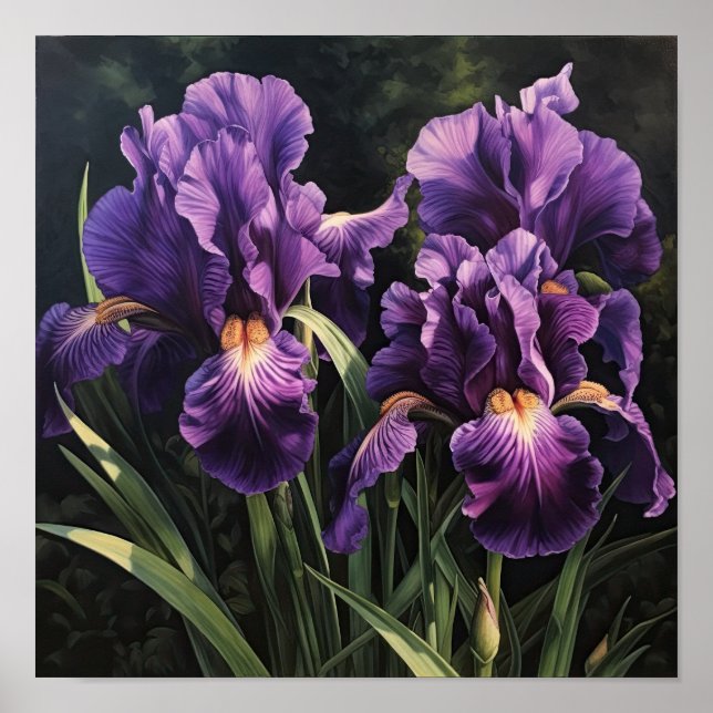 Poster d'impression de l'art floral Irises violet (Devant)