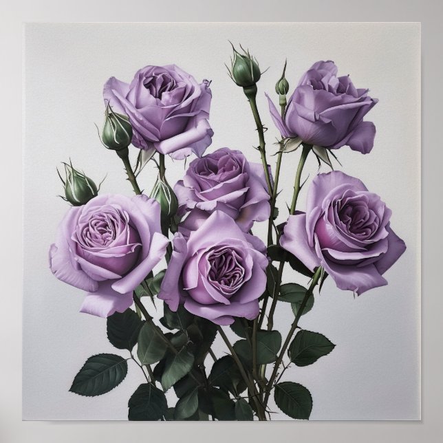 Poster d'impression de lavande Rose (Devant)
