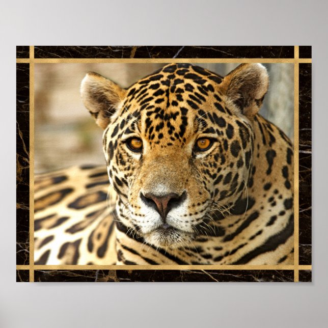 Poster d'impression de l'image Jaguar (Devant)