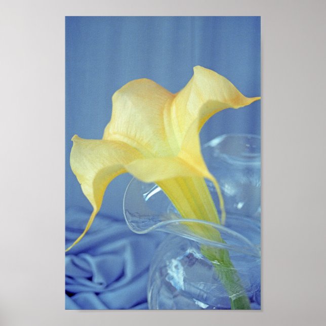 Poster d'impression de mur d'art de Datura jaune (Devant)