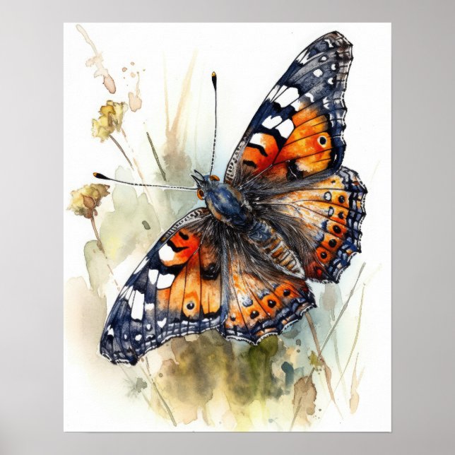 Poster d'impression de papillon Phaon Crescent Art (Devant)