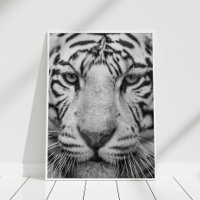 Poster d'impression de tigres noir et blanc