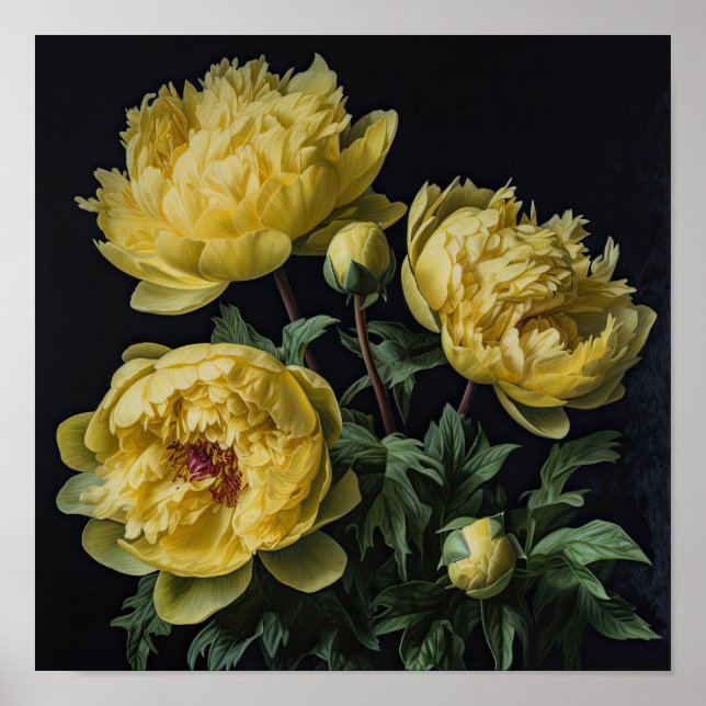 Poster d'impression des peonies jaunes (Devant)