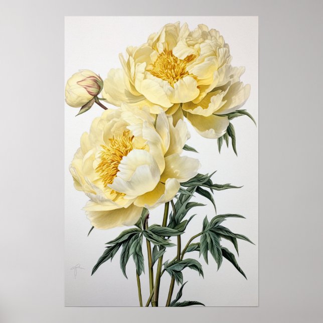 Poster d'impression des peonies jaunes (Devant)