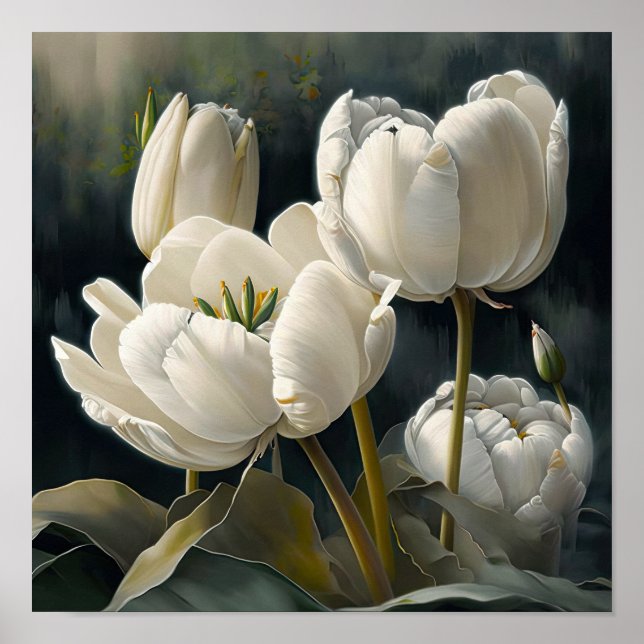 Poster d'impression des Tulipes blanches (Devant)