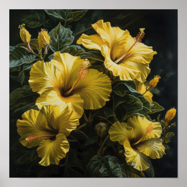 Poster d'impression d'hibiscus jaune (Devant)