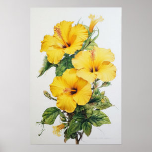 Poster d'impression d'hibiscus jaune