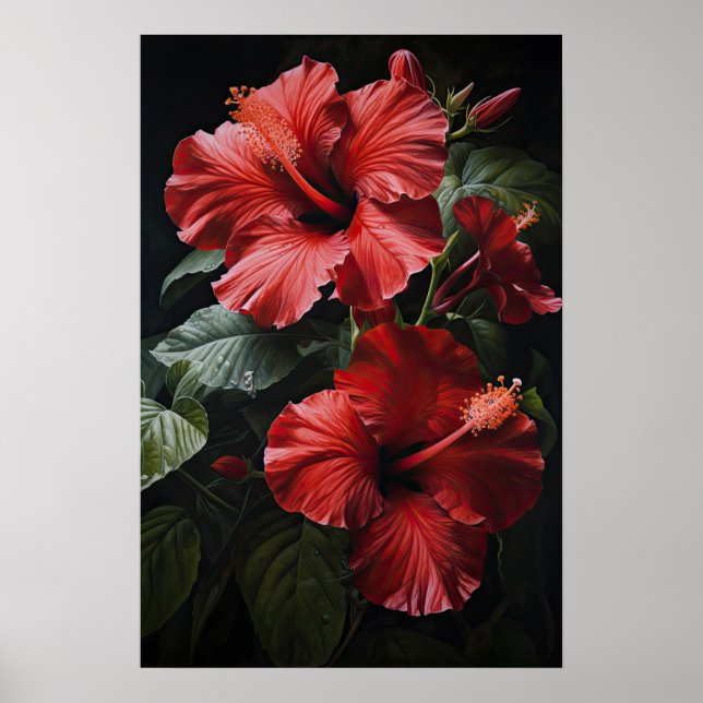 Poster d'impression d'hibiscus rouge (Devant)