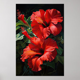 Poster d'impression d'hibiscus rouge
