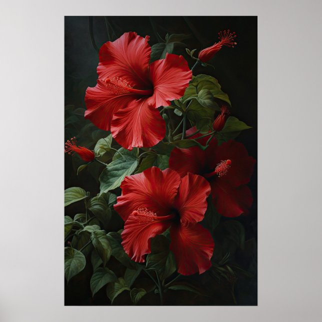 Poster d'impression d'hibiscus rouge (Devant)