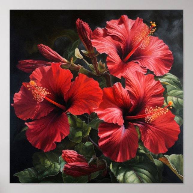 Poster d'impression d'hibiscus rouge (Devant)