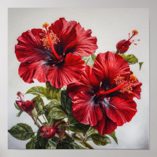 Poster d'impression d'hibiscus rouge