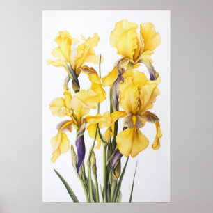 Poster d'impression d'images de fleurs irlandaises