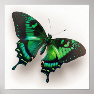 Poster d'impression Emerald Green Butterfly Art
