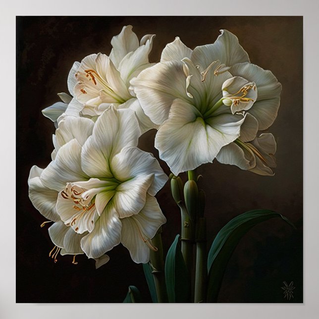 Poster d'impression en blanc Amaryllis Flower Art (Devant)