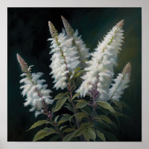 Poster d'impression en blanc Astilbe Flower Art