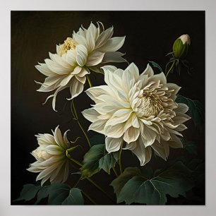 Poster d'impression en blanc Dahlias
