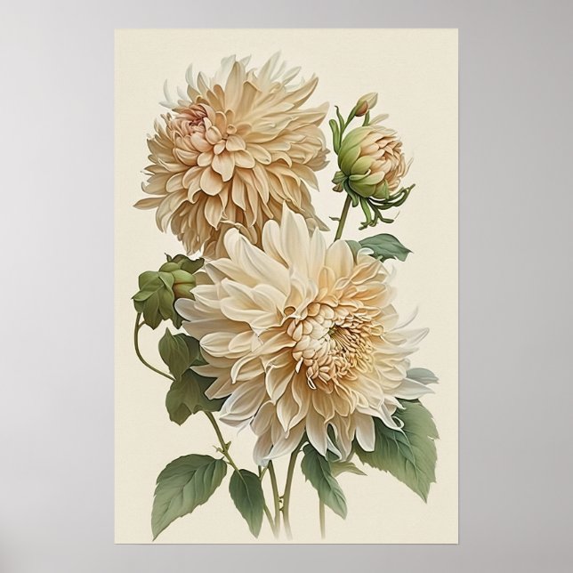 Poster d'impression en blanc Dahlias (Devant)