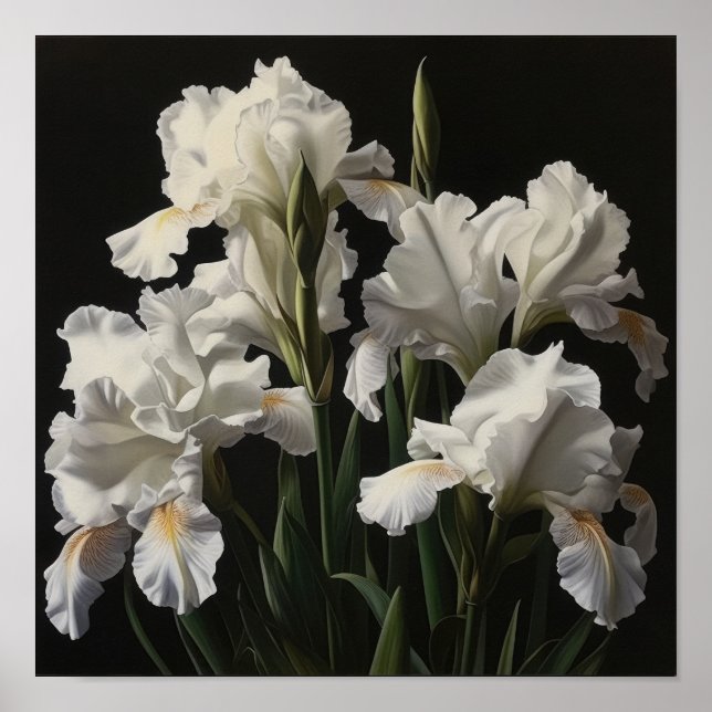 Poster d'impression en blanc Irises (Devant)