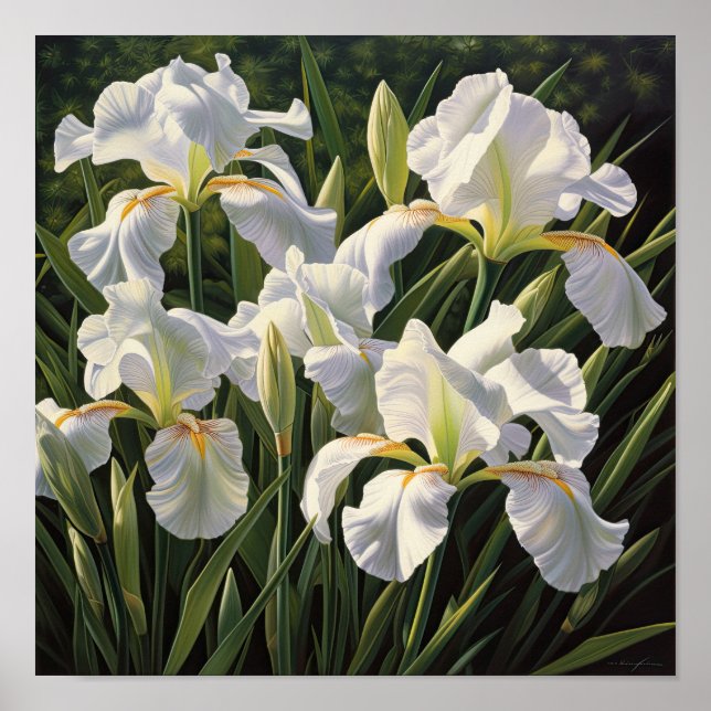 Poster d'impression en blanc Irises (Devant)