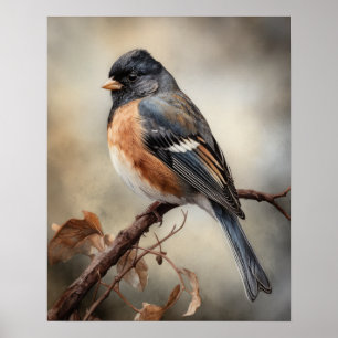 Poster d'impression Junco Bird Art