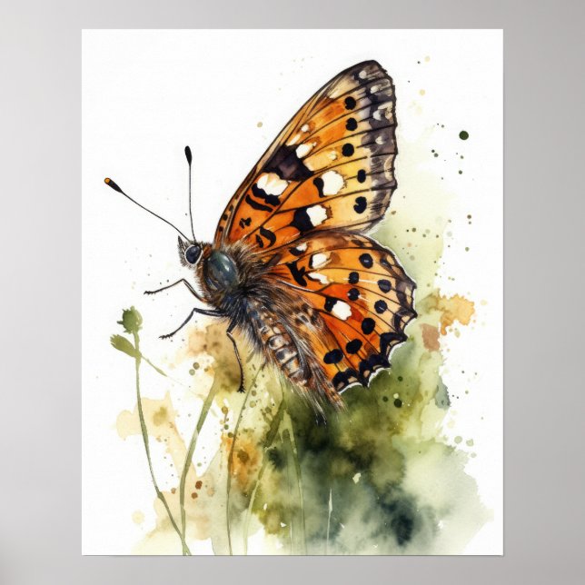 Poster d'impression Meadow Fritillen Papillon (Devant)