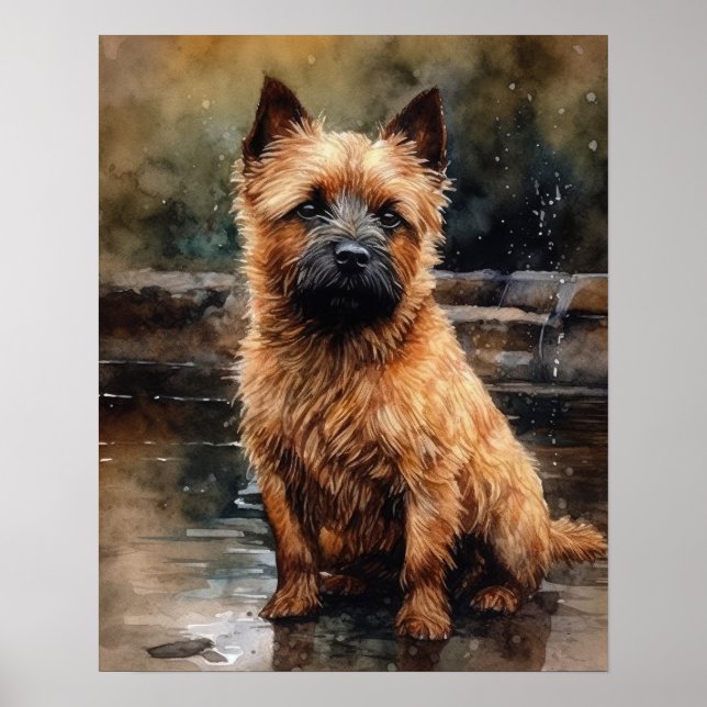 Poster d'impression Norwich Terrier Dog Art (Devant)