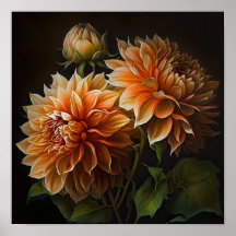 Poster d'impression Orange Dahlias