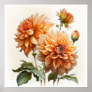 Poster d'impression Orange Dahlias