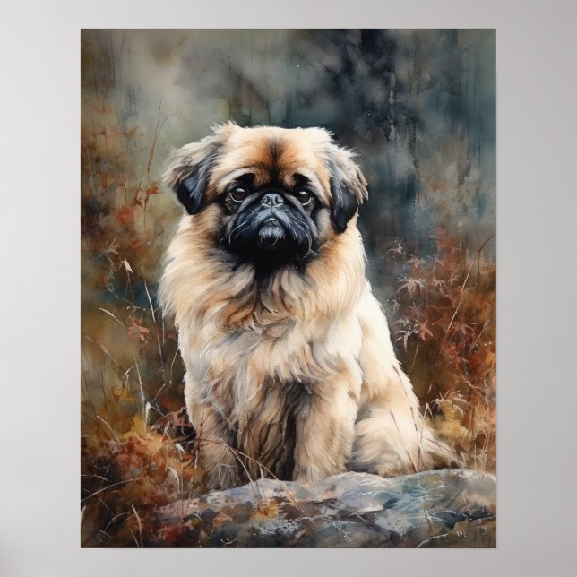Poster d'impression Pekingese Dog Art (Devant)