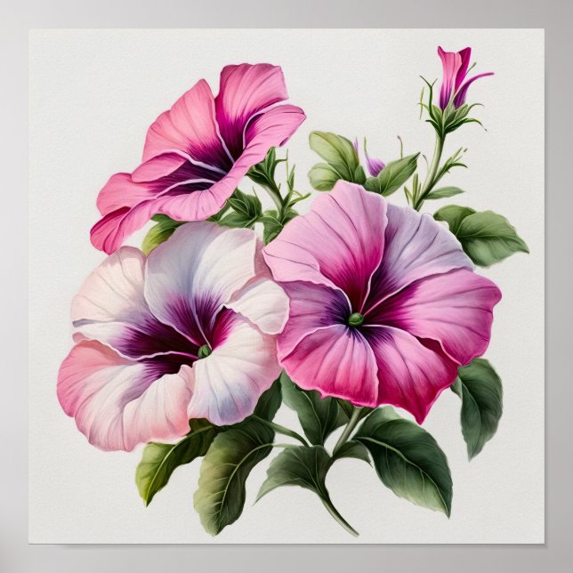 Poster d'impression Pink Petunias (Devant)