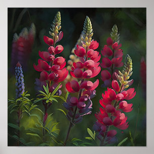 Poster d'impression Red Lupine Flower Art